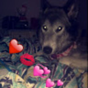 Meet your Posher, Cora